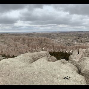 Meet your Posher, Ruth